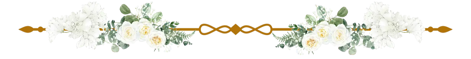 line decoration